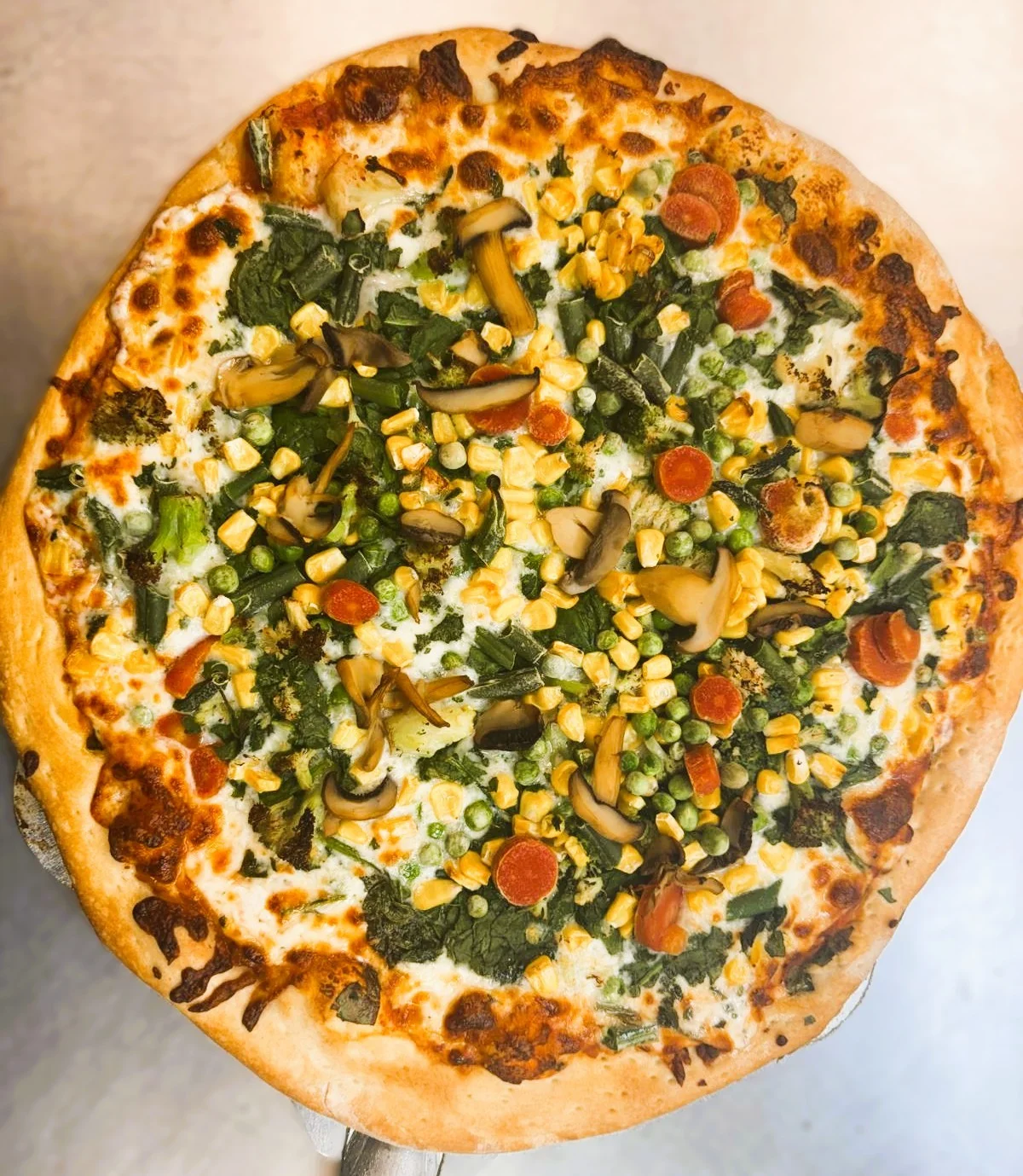 XPXX2R4FPHG2GI45JC5GW6CE Vegetable Pizza - Image 1